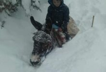 07 الدراسة ثلوج