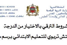 ترقية المفتشين التربويين للتعليم الابتدائي 2017 5 تائج ترقية المفتشين التربويين للتعليم الابتدائي بالاختيار برسم سنة 2017