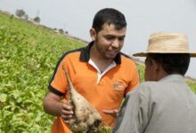 كوسومار تواكب دراسة أبناء مزارعي قصب السكر 2 1540401259 102418