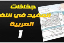 جذاذات المفيد في اللغة العربية