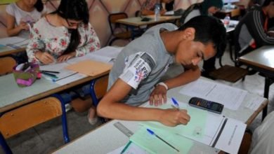 جامعات يؤيّدون تدريس المواد العلمية بالفرنسية والإنجليزية