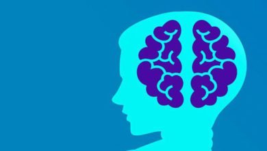brain education 660x330