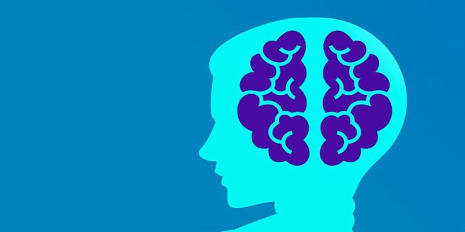 brain education