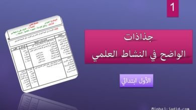 جذاذات الواضح في النشاط العلمي