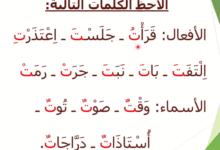 درس الاملاء: التاء المربوطة والتاء المبسوطة في الاسم والفعل 3 Screenshot 2019 10 12 تحيا لغتنا العربية الفصحى1