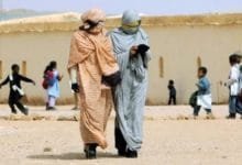 إيطاليا تمنحُ نصف مليون يورو إلى مخيمات تندوف 5 إيطاليا تمنحُ نصف مليون يورو إلى مخيمات تندوف