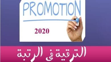 في الرتبة 2020