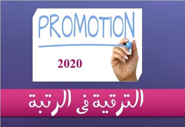 في الرتبة 2020