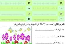 90678371903966969856 n