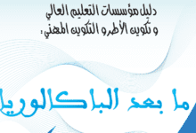 دليل مؤسسات التعليم العالي وتكوين الاطر والتكوين المهني 2019-2020 4 Screenshot 2020 04 02 lycee Google Drive