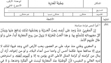 Screenshot 2020 04 04 n6 Google Drive