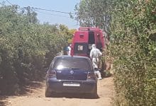 104403892 838854146609132 2778204469777640812 n