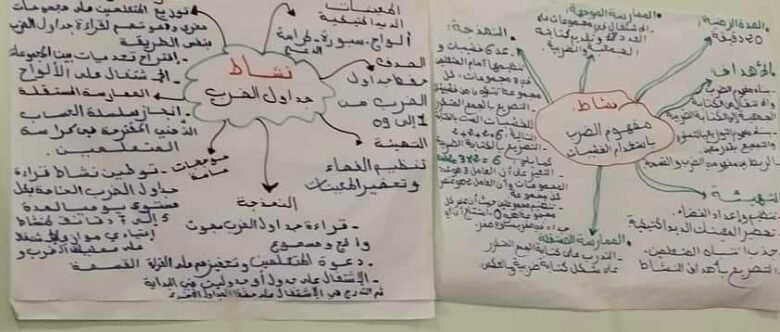 خطاطات ذهنية في مقاربة TaRL والتدريس الفعال 31 IMG 20240702 WA0014
