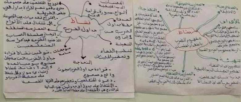 خطاطات ذهنية في مقاربة TaRL والتدريس الفعال 31 IMG 20240702 WA0014