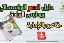 دليل برنامج الدعم المؤسساتي بمؤسسات الريادة pdf