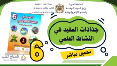 تحميل جذاذات المفيد في النشاط العلمي - السادس ابتدائي 2025/2026 5 جذاذات المفيد في النشاط العلمي PDF - السادس ابتدائي