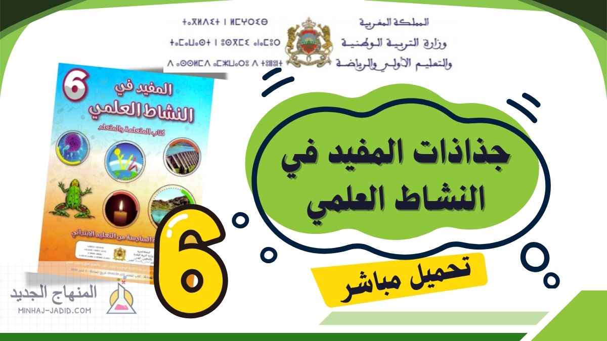 جذاذات المفيد في النشاط العلمي PDF - السادس ابتدائي