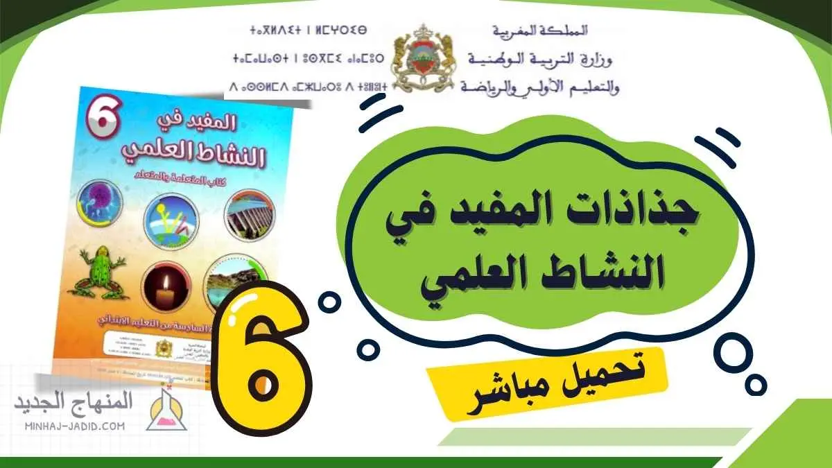 تحميل جذاذات المفيد في النشاط العلمي - السادس ابتدائي 2025/2026 1 جذاذات المفيد في النشاط العلمي PDF - السادس ابتدائي