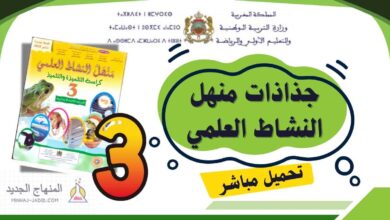 جذاذات منهل النشاط العلمي — السنة الثالثة ابتدائي PDF