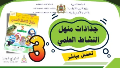 جذاذات منهل النشاط العلمي المستوى الثالث ابتدائي 2025-2026 PDF جاهزة للتحميل 6 جذاذات منهل النشاط العلمي — السنة الثالثة ابتدائي PDF